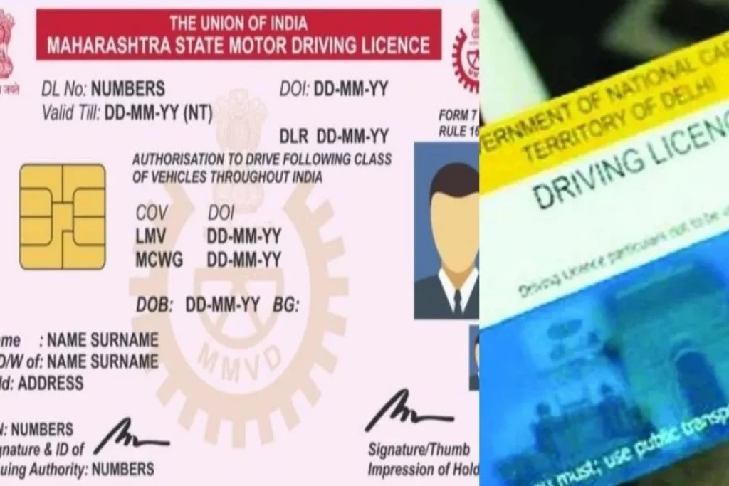 driver Licence