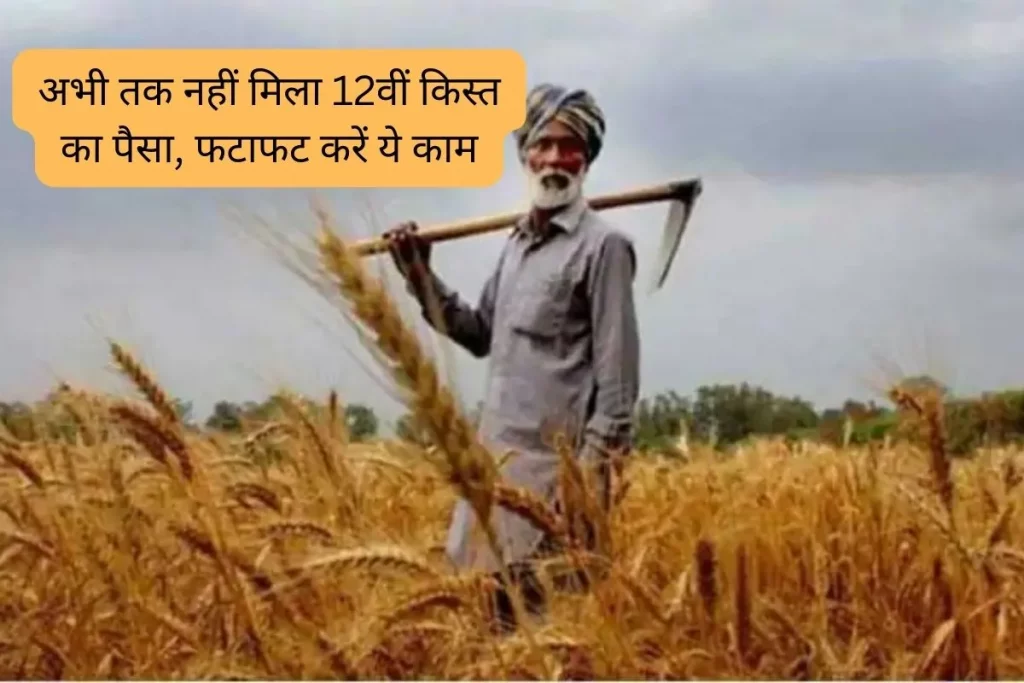 PM Kisan Yojana