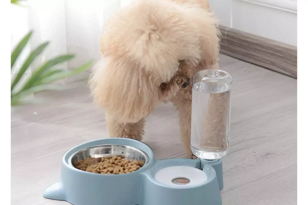 Pet Feeder