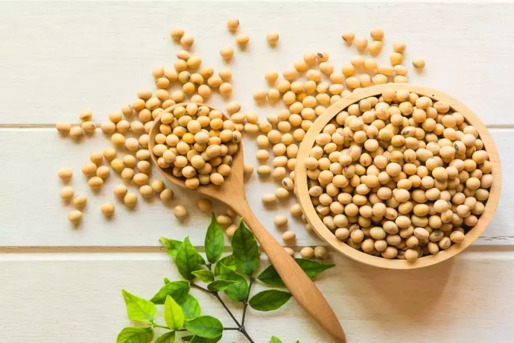 soybean benefits