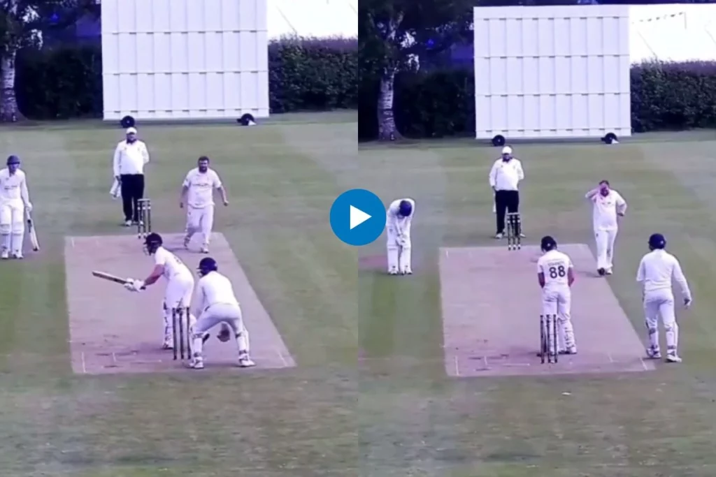 Cricket Viral Video