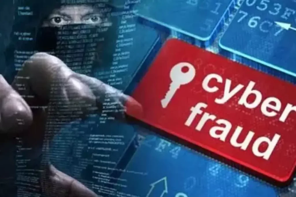 Cyber Fraud